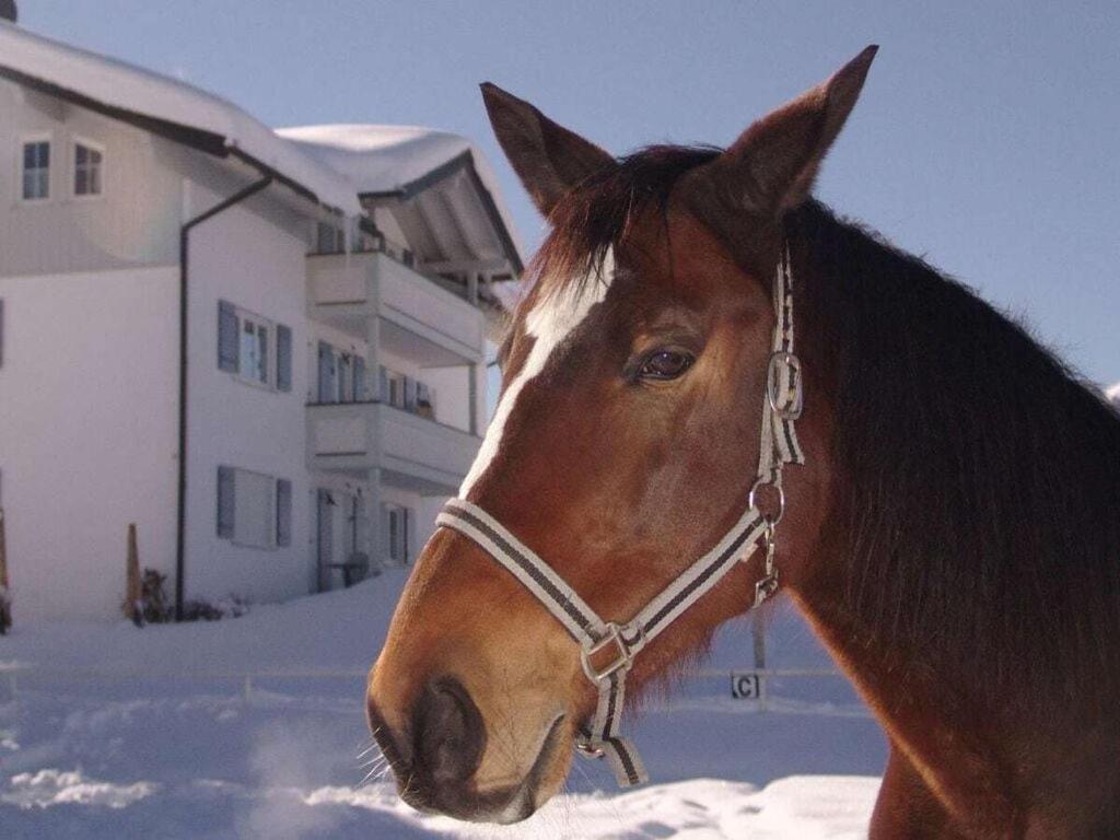 Gottesacker Comfortable Holiday Residence Riezlern Zewnętrze zdjęcie